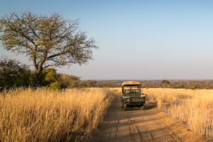 delightful-road-trips-a-stones-throw-from-durban