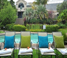 Swimming Pool edit